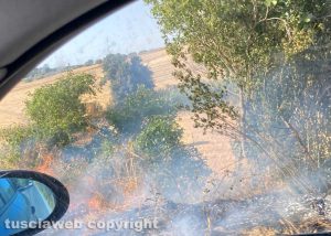 Sterpaglie in fiamme sulla Tuscanese