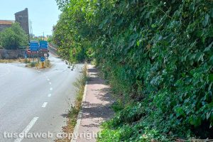 Viterbo - Incuria sulla pista ciclabile che unisce Viterbo alla località Terme