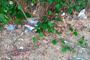 Viterbo - Incuria in via Angelo Ioppi