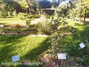 Viterbo - L'orto botanico