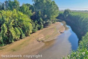 Tarquinia - Il fiume Marta ieri pomeriggio