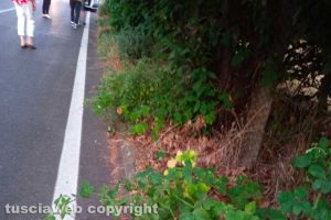 Viterbo - Incuria in via Del Colle a San Martino al Cimino