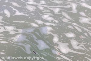 Montalto di Castro - Schiuma nel mare