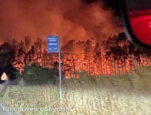 Incendio a Bagnoregio in zona Capraccia
