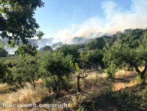 Montefiascone - Incendio tra la località Caversa e Grilli nella frazione di Zepponami