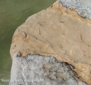 Mancanza d'acqua al Bullicame