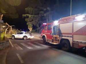 Bolsena - Albero si spezza e precipita sulla Cassia