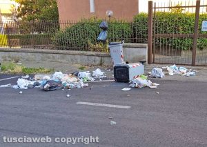 Incursioni cinghiali in via dei Monti Cimini
