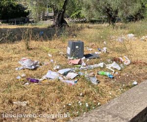 Cinghiali rovistano tra la spazzatura