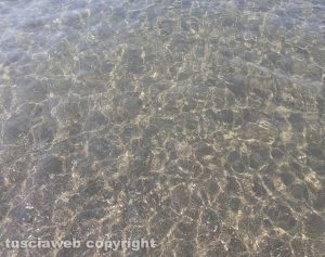 L'acqua a Montalto Marina