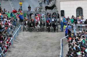 Il palio di Allumiere