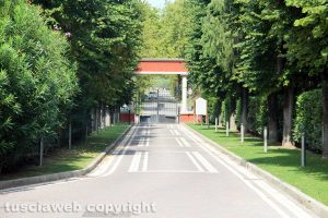 Viterbo - Terme dei papi