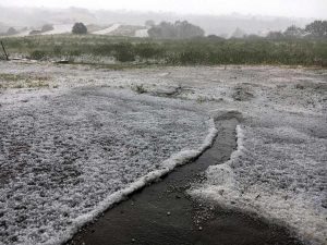 Grandinata a Viterbo nelle campagne