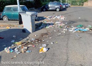 Cinghiali in via del Pincio e strada Respoglio