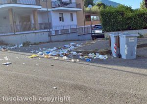 Cinghiali in via del Pincio