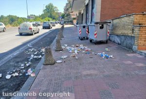 Cinghiali rovistano tra la spazzatura a via Belluno