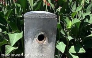 Viterbo - Fontana chiusa in piazza Martiri d'Ungheria