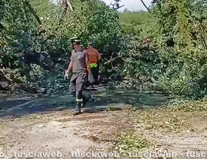 Ronciglione - Alberi caduti sulla sp Valle di Vico