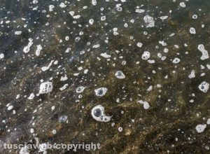 Sporcizia a Montalto Marina