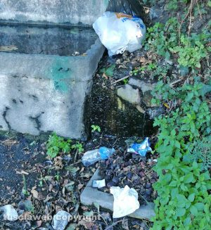 Immondizia alla fontana del Boia