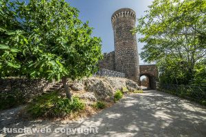 Vulci - Castello della Badia