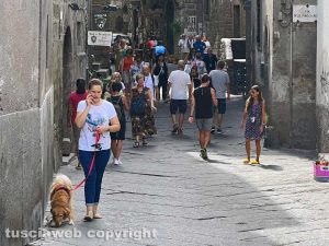 Viterbo - Via S. Pellegrino a Ferragosto