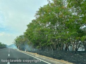 Tarquinia - Incendio di sterpaglie sull'Aurelia