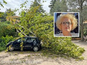 Viterbo - L'albero caduto a San Martino e Lina Delle Monache