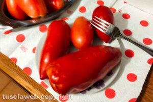 Pomodori