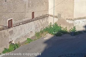 Viterbo - Incuria in via Marche