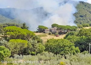 Bagnaia - Incendio in strada Romana