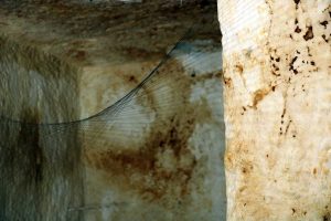 Blera - L'installazione Senso di Monica Pennazzi