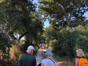Montalto di Castro - Una passata edizione di "Passæggi di tempo"