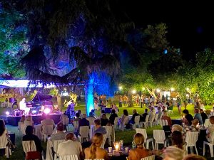 Tarquinia - Tra i rami dell’arte