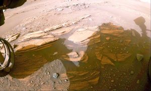 Il pianeta Marte - Fonte: Nasa’s Perseverance Mars Rover (pagina ufficiale Facebook)