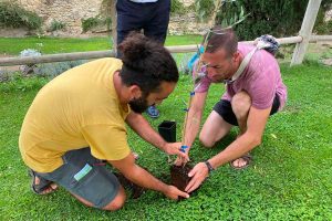 Tarquinia - L'iniziativa "In cammino con gli alberi" di Damiano Fabbri e Valerio Gabrielli
