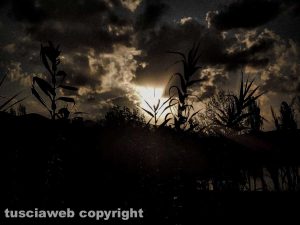 L'alba