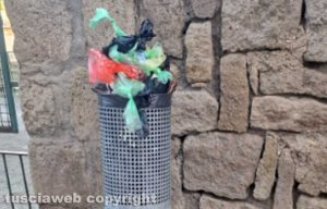 Viterbo - Deiezioni di cani in via Asiago