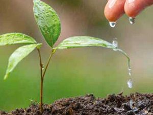Terreno e acqua