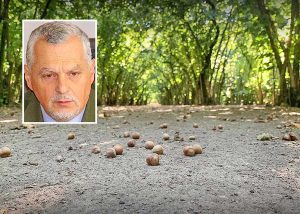 Noccioleto - Nel riquadro: Remo Parenti