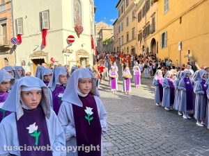 Viterbo - Santa Rosa - Corteo storico