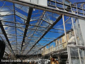 Civitavecchia - I danni della tromba d'aria sulle Serre Albani