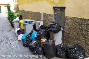 Viterbo - Rifiuti in piazza delle Erbe