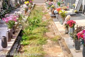 Viterbo - Incuria al cimitero
