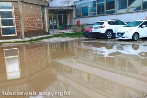 Viterbo - Acqua all'ingresso della scuola Egidi