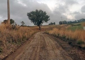 Montefiascone - Strada di campagna in località Lucrino