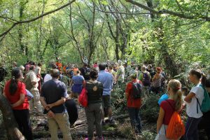 Passeggiata racconto nella Selva del Lamone