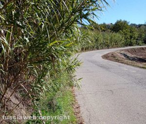 Caprarola - Strada provinciale 69