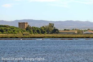 Tarquinia - Le saline