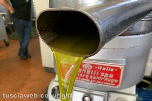 Olio di Tobia profumato appena lavorato